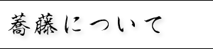 蕎藤について